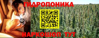ECSTASY Заволжье