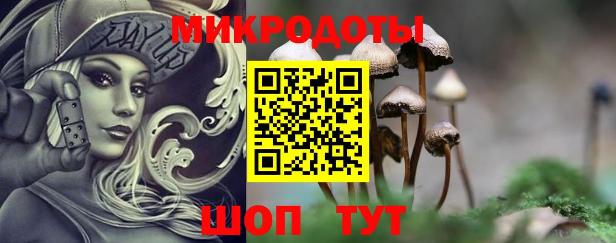 Псилоцибиновые грибы Psilocybe Лангепас
